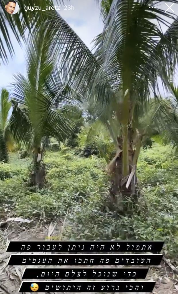 הסטורי של גיא זוארץ