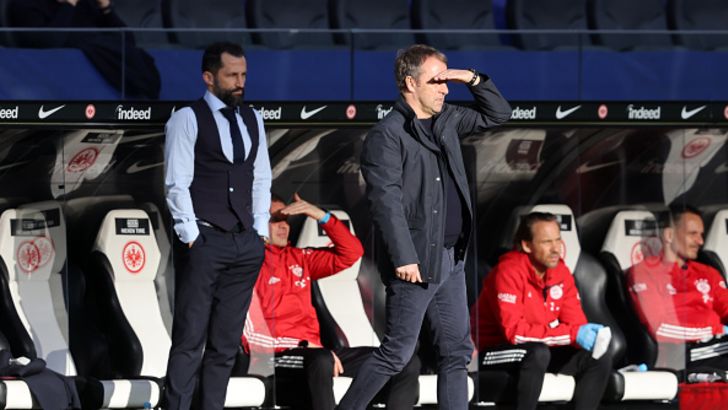 חסן סליהמידז'יץ', האנזי פליק