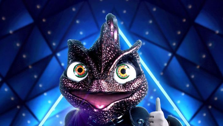 מאור בוזגלו מסתתר מאחורי הזיקית