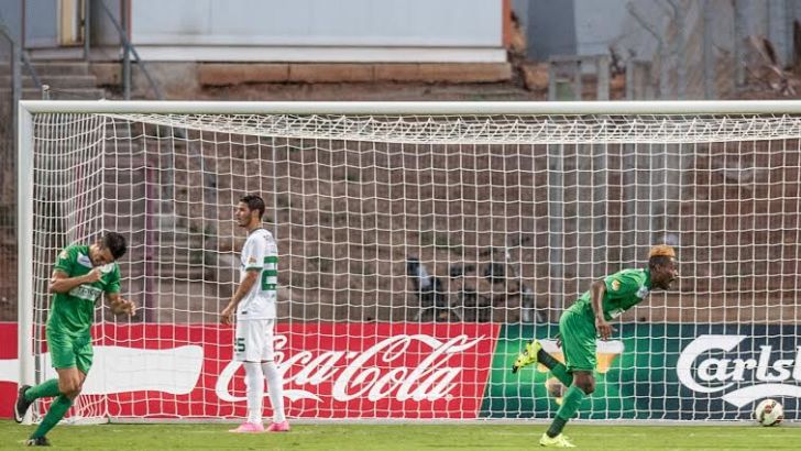 צ'יבוטה. השער שלו שימח גם את הצהובים