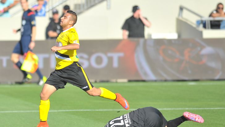 סבע. מבוקש גם בסכנין