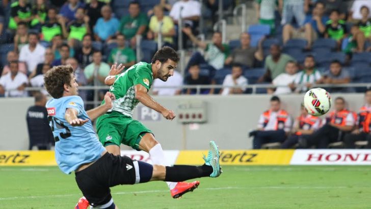 תורג'מן. יפרח בביתר?