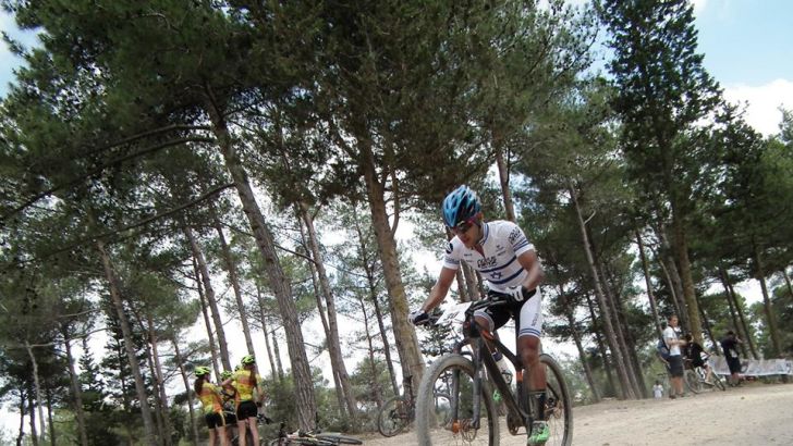 חיימי. ניצחון נוסף