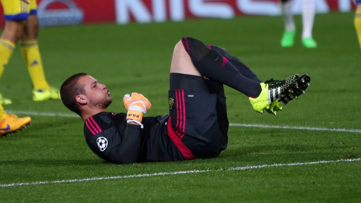 ראיקוביץ'. שתי טעויות חריפות