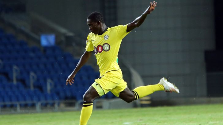 בארי. קיבלנו המלצות מחיפה