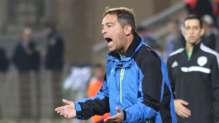 הוכנבוים. עוד משחק הישרדות