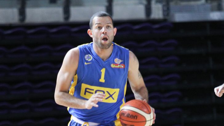 פרמאר. ידית ידית