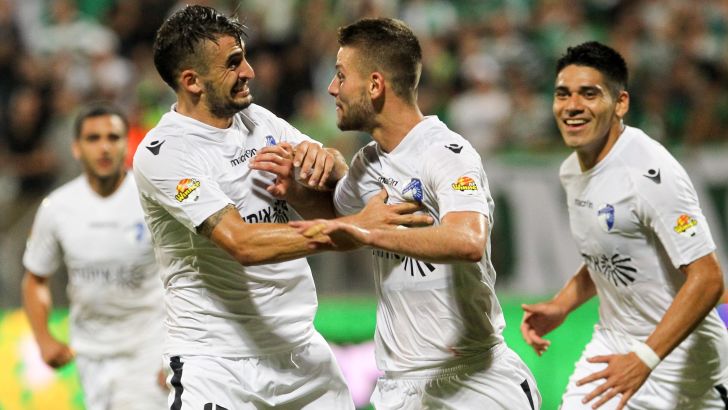 שמיר. משחק עם הרבה חכמה וביטחון