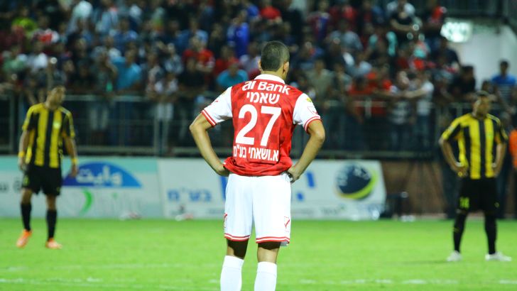 שאמי. תכונות מצוינות למגן