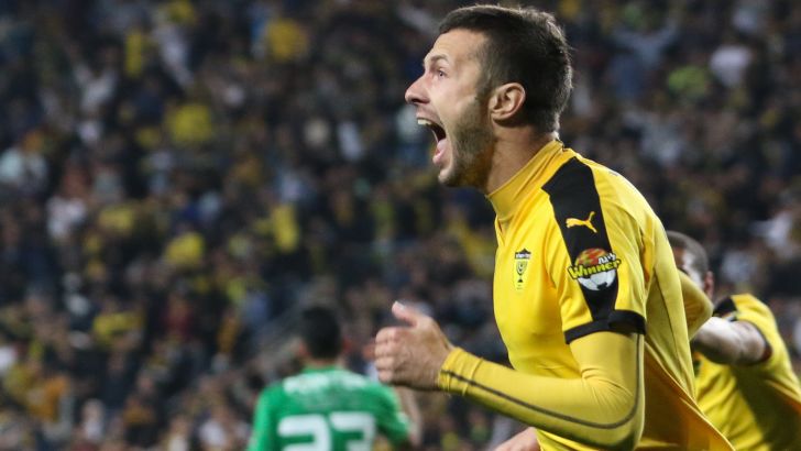 רוני לוי אישר. רוקאביצה