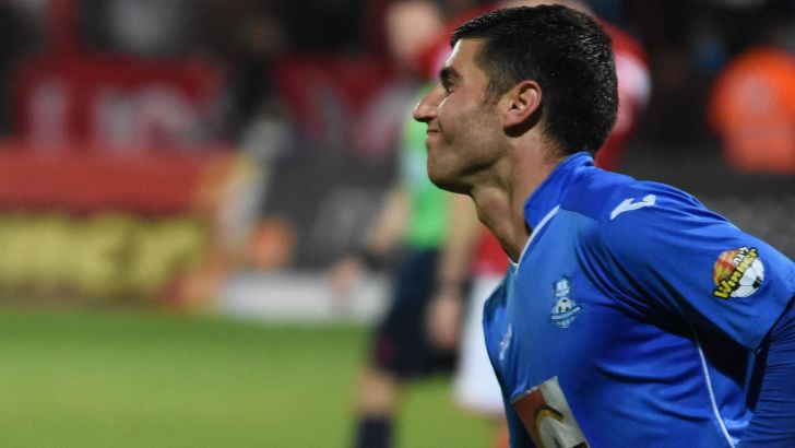 שמח על השער. צמח