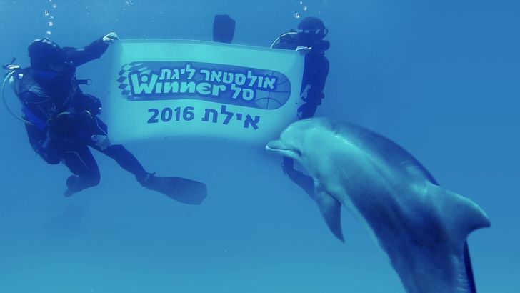 אולסטאר 2016. יורד דרומה