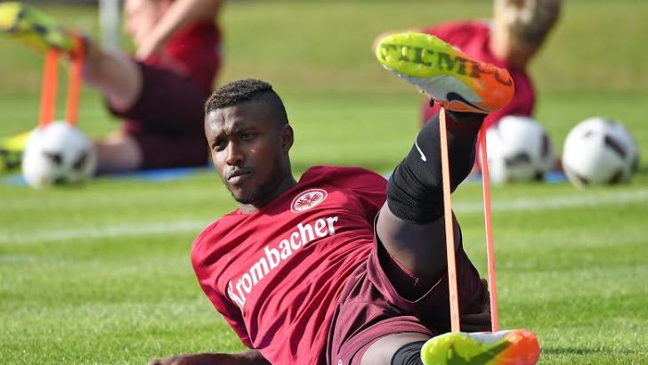 טוואטחה. פרנקפורט עקבה אחריו במשך חצי שנה