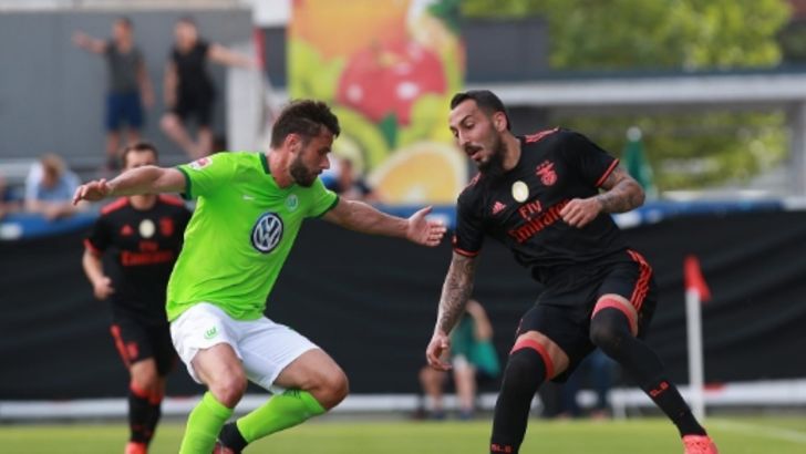 מיטרוגלו בפעולה