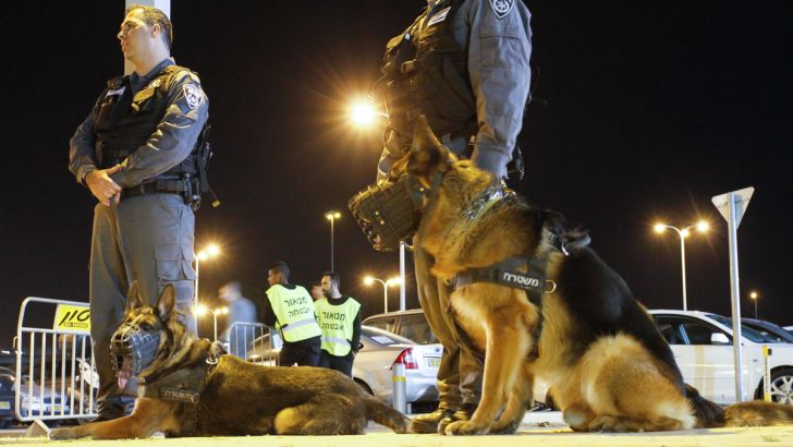 כוחות משטרה הגיעו למקום ועיכבו עשרה חשודים