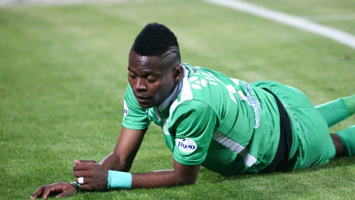 צ'יבוטה המתוסכל על הדשא