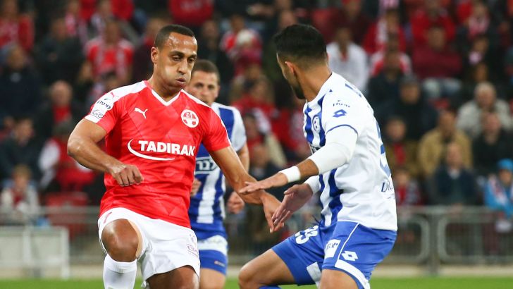 ראדי. הרבה חכמה וסבלנות