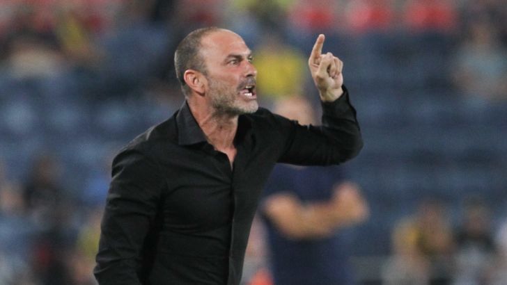 מוטי איוניר