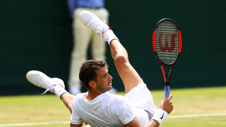 גריגור דימיטרוב