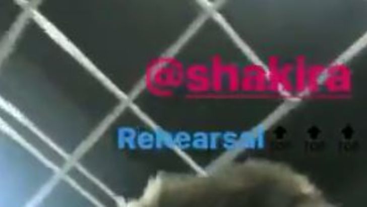 ג'רארד פיקה