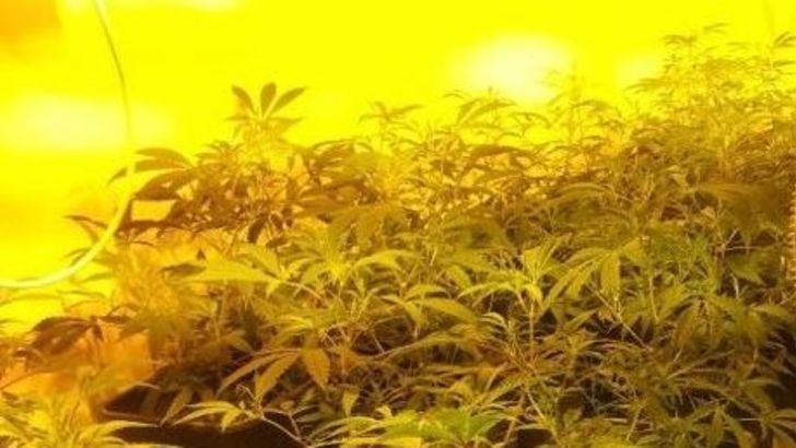 מעבדת הידרו