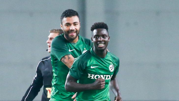 סלליך וקאיו חוגגים