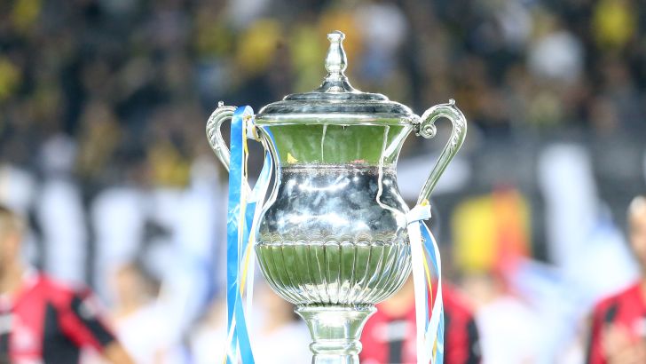 גביע המדינה