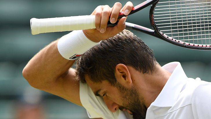 מארין צ'יליץ'