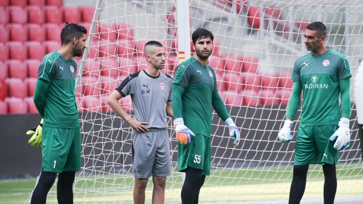 יאניס אנסטיס, גיא חיימוב, דודו גורש