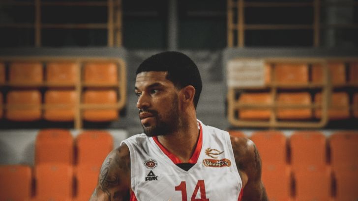 ג'יימס פלדיין