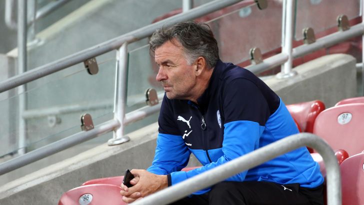 וילי רוטנשטיינר