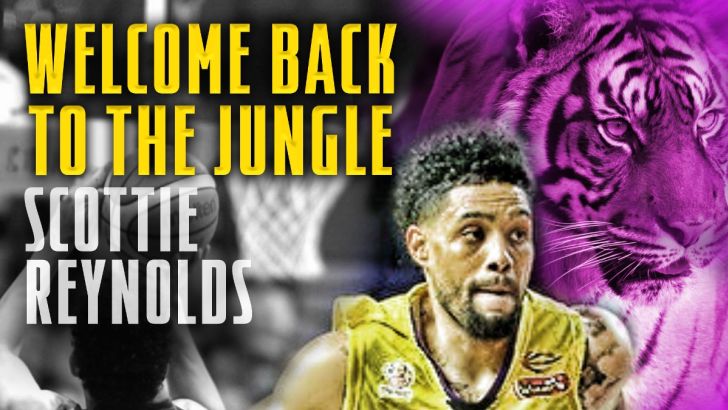 סקוטי ריינולדס