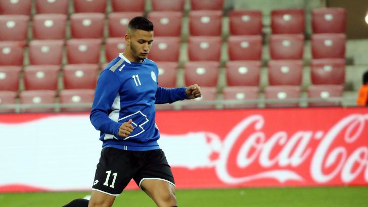 אילון אלמוג