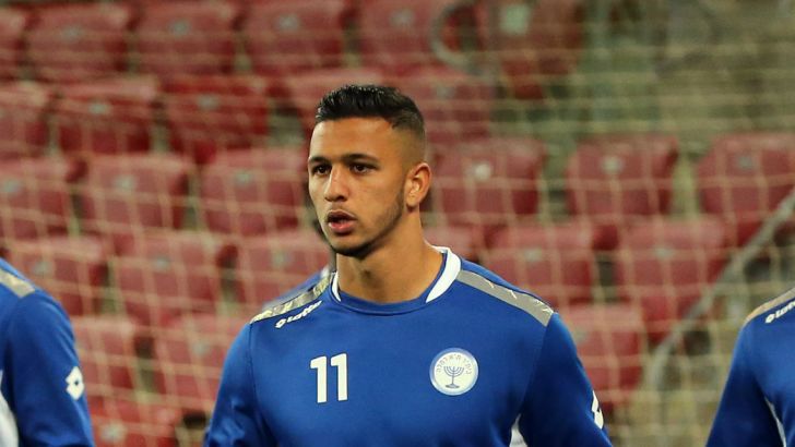 אילון אלמוג