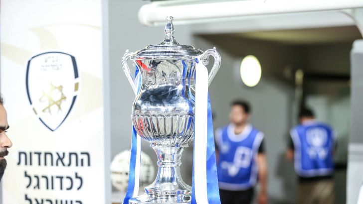 גביע המדינה