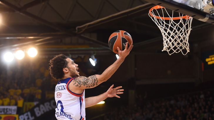 שיין לארקין