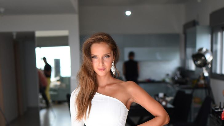 נטע אלחמיסטר