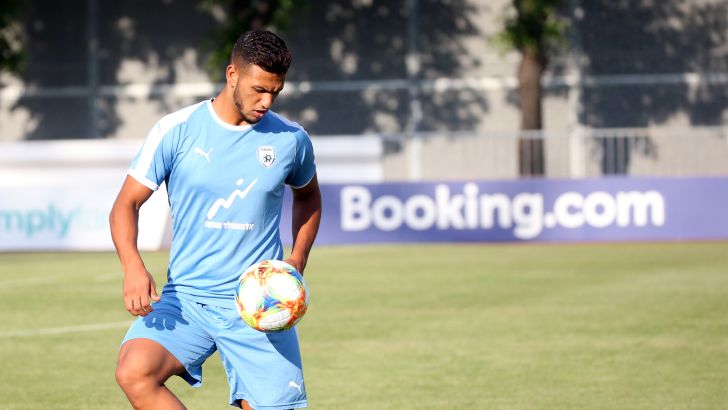 אילון אלמוג