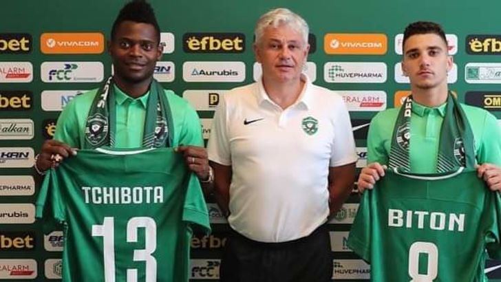 מאוויס צ'יבוטה, דן ביטון