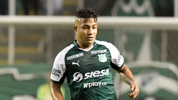 פייבר מרקאדו