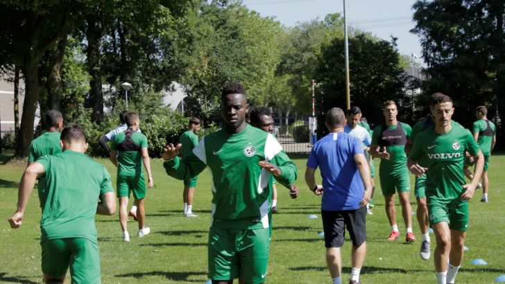 סינטיהו סלליך