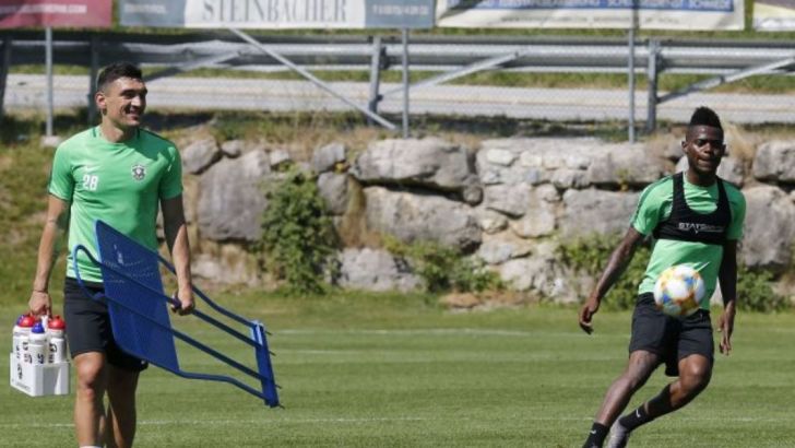 מאוויס צ'יבוטה