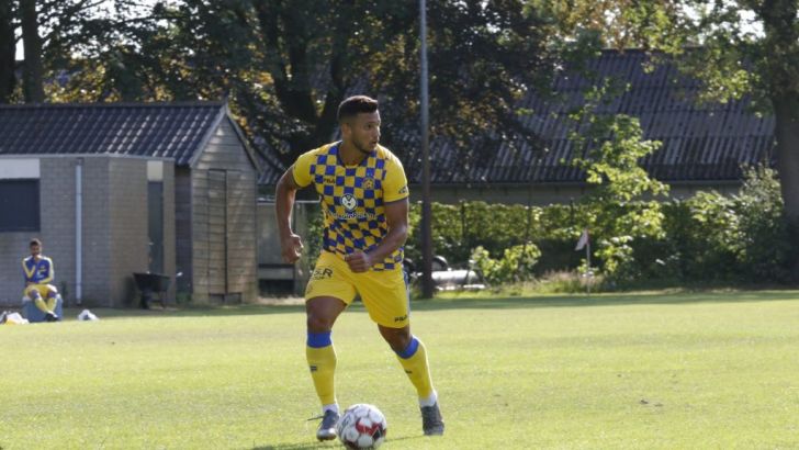 אילון אלמוג