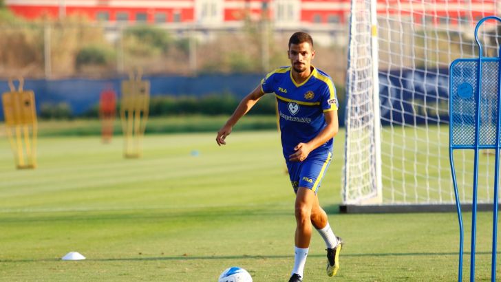 אנדרה ג'ארלדס