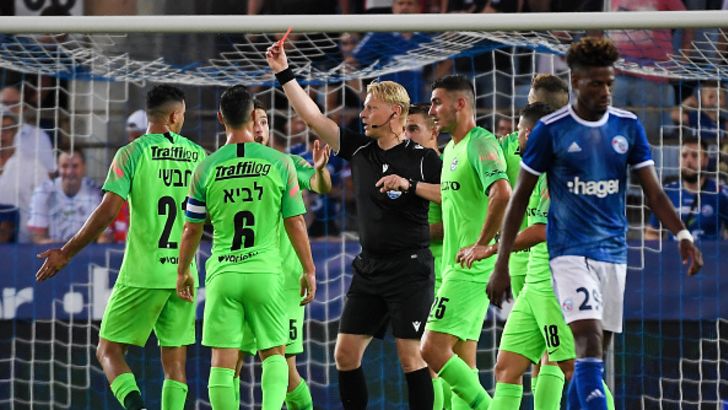 עאיד חבשי, נטע לביא