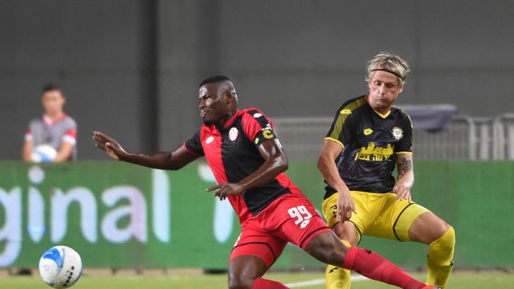 טים הויבך, לוסיו