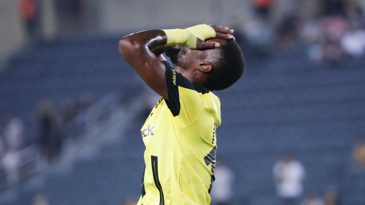 פרדי פלומיין