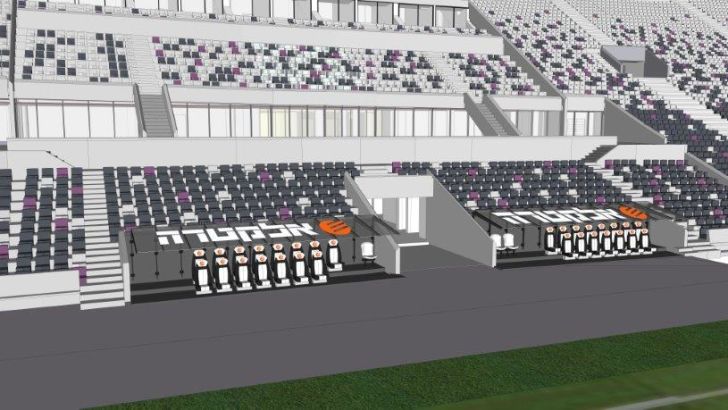 אצטדיון בלומפילד, הדמיה