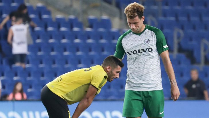 יאניק ווילדסחוט, ויקי כחלון