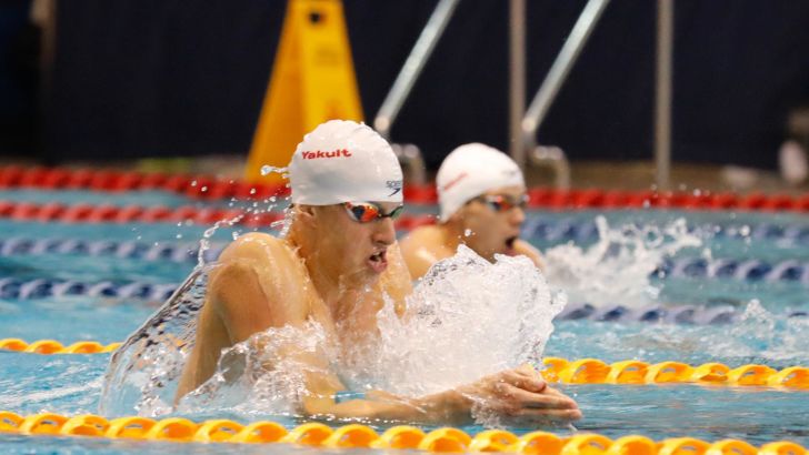 רון פולונסקי